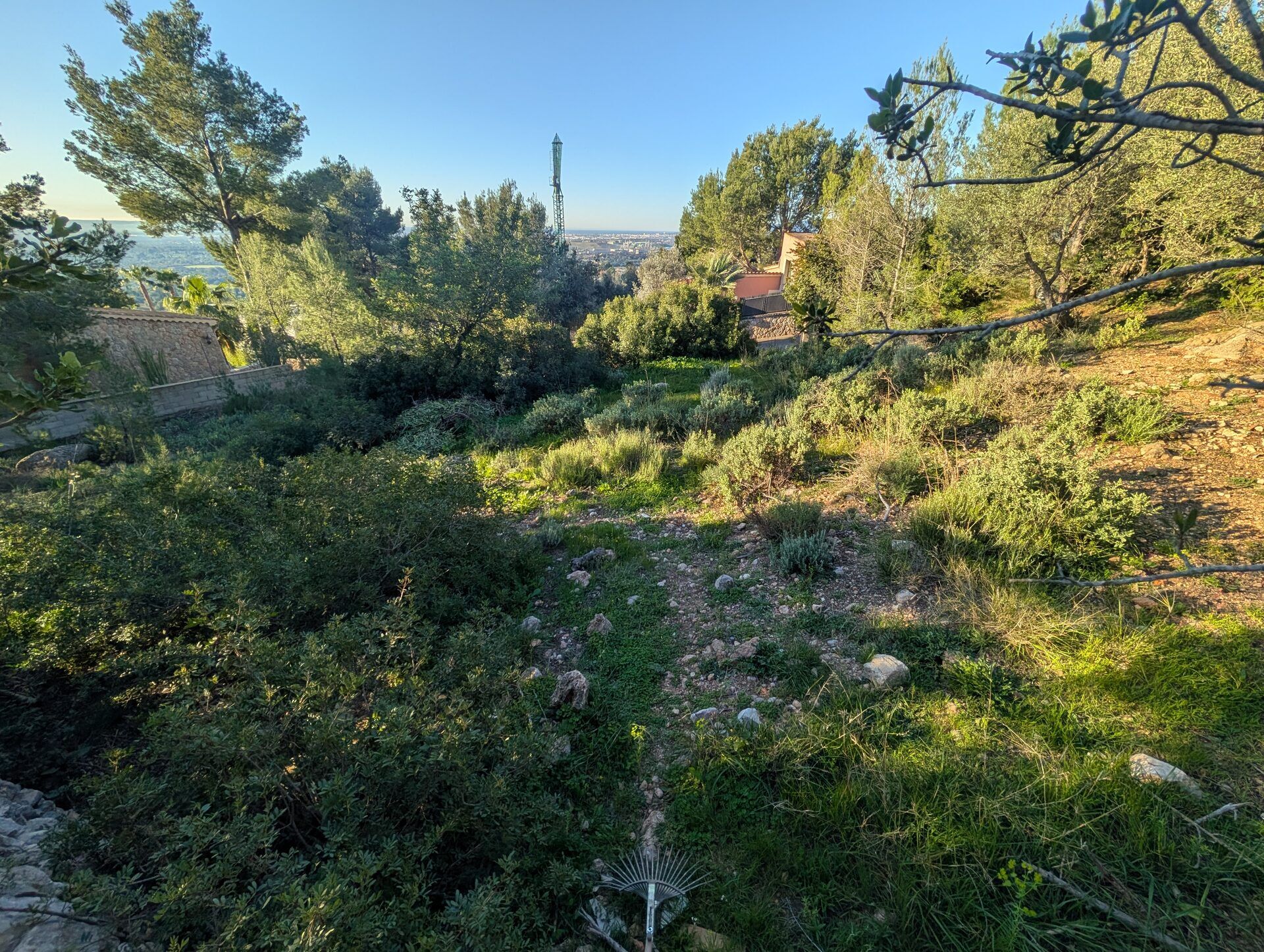 Development plot Mallorca